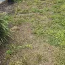 Century Communities - Warranty lawn - Photo 2