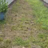 Century Communities - Warranty lawn - Photo 3