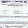 Breeders - Puppy  - Photo 2