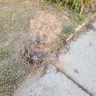 AT&T - Install from he!! - Photo 1
