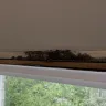 Willow Window - Willow window caused massive mold problem! - Photo 2