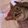 VCA Animal Hospitals - Really great staff. - Photo 1