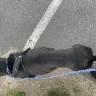 Banfield Pet Hospital - Shame on them!!  - Photo 1