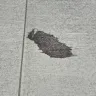 AmeriGas Propane - Oil spill on driveway ignored for months - Photo 1