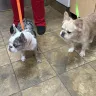 Banfield Pet Hospital - They don't care about anyone's pet - Photo 1