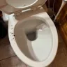 Casago - We booked the Honey Bee Cabin but could not stay in it because it had human waste spilling out of the basement toilet, onto the floor. - Photo 2