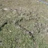 Terminix - Started off O. K.   - Photo 1