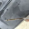 Take 5 Oil Change - Put way too much oil in car - Photo 1