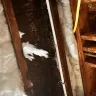 FirstKey Homes - Worst rental company ever - Photo 5