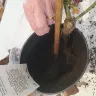 DPD UK - Delivery of live plants that should have been next day but took over week. - Photo 6