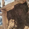 DPD UK - Delivery of live plants that should have been next day but took over week. - Photo 7