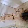 InTown Suites - Disgusting conditions forced - Photo 3