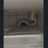 BrandsMart USA - Defective dryer - Photo 2