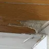 Wholesale Supplies Plus - Kitchen remodel - Photo 4
