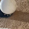 Hawx Pest Control - Awful service do not trust - Photo 1