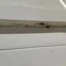 Hawx Pest Control - Awful service do not trust - Photo 2