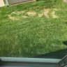 DHI Roofing - Do not trust this company! - Photo 4