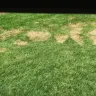 DHI Roofing - Do not trust this company! - Photo 5