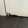 Byronessa Miami Beach / Byron Avenue Suites - Dirty apartment, refund refused, suspected review manipulation - Photo 6