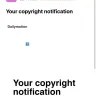 DailyMotion - Dailymotion copyright is crap - Photo 2