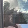 Safelite AutoGlass - Cheap glass and horrible customer service - Photo 1