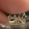 Diamonds International - Ring purchased as 14K white gold that is actually silver - Photo 3