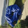 LawnStarter - Run away from this service!! Please - Photo 1