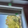 The Biner Group Renewal By Anderson STL - 11 Custom made windows - Photo 9