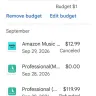 Uber Pro Card - Google wallet to money out with photo prof I get no refund - Photo 2