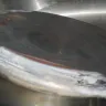 Wolfgang Puck Worldwide - design defect - Photo 3
