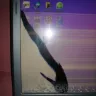 Circuit City - hp g60 pc tablet - Photo 2