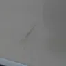 LG Electronics - scratch on the door - Photo 1