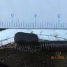 Mr. Lube Canada - engine failure - claim denial - Photo 5