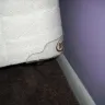 Serta - Spinal injury of a 3 year old from Serta Mattress and Box-Spring, that is in perfect condition. - Photo 4