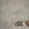 Bissell Homecare - Burned our carpet and we must box it - Photo 1