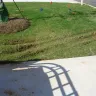 All My Sons Moving & Storage - horrible movers - Photo 1