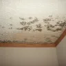 Southern Energy Homes - Roof leak denial leaves family in moldy fire hazard - Photo 2