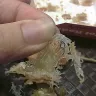 KFC - kfc with plastic - Photo 3