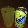 Coca-Cola - insect found in fanta - Photo 2