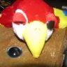 DREAM INTERNATIONAL USA, INC. - Eye fell out immediately - Photo 1