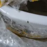 DHL Express - delivered smashed - Photo 1