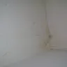 Allstate Insurance - non repair of  roof damages - Photo 6