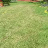 Scotts.com - chemically overtreated my new yard - Photo 2