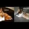 Pride n Groom, Keller, TX - bad customer service - Photo 1