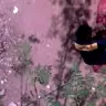 BharatGas - gas theft - Photo 2