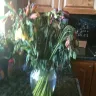 ProFlowers - pathetic flowers and even worse cs - Photo 2