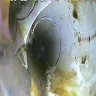 Adams Homes - sold defective home to me - Photo 9