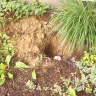 Mr. Rooter - Damage - Photo 1