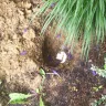 Mr. Rooter - Damage - Photo 2