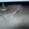 Mr. Rooter - Damage - Photo 3